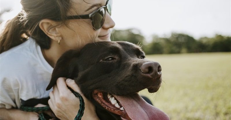 The Pursuit of “Man’s Finest Buddy”: 7 Ideas for Constructing a Bond With Your New Pet