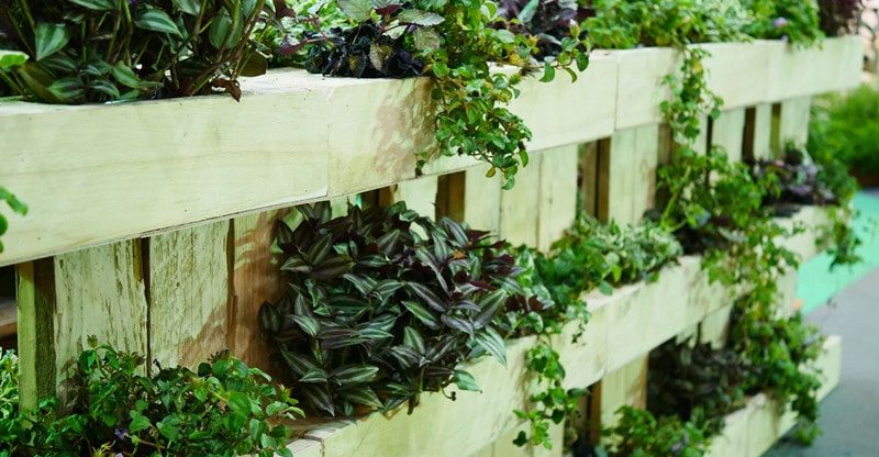 6 Finest Herbs And Greens To Develop In A Vertical Backyard