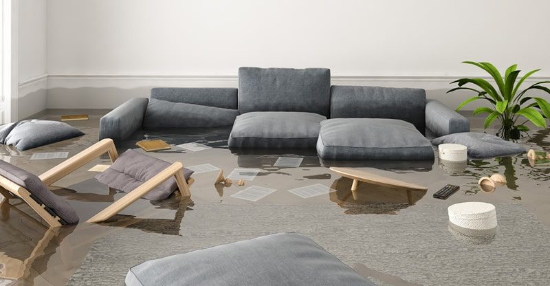 Guidelines For Dwelling Clear Up After Water Harm