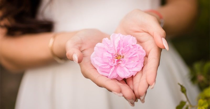Blossoming Love: Incorporating Rosa Damascena Into Your Wedding ceremony Decor