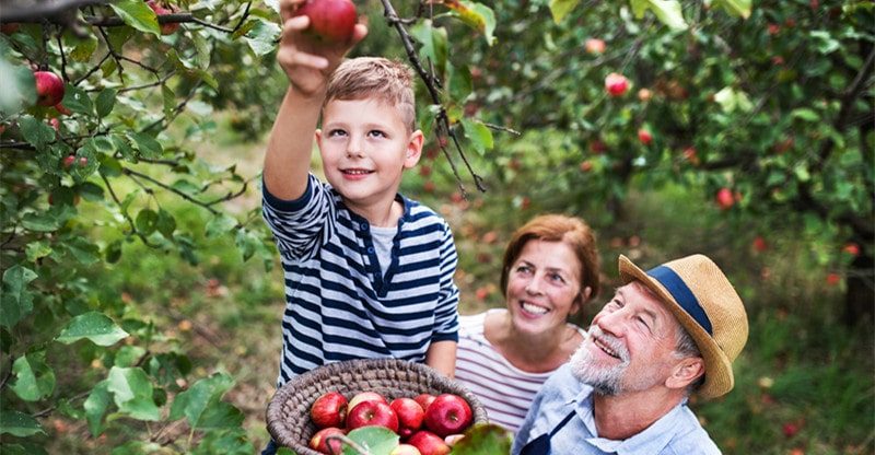 5 Actions to Maintain You Busy in Ottawa This Fall
