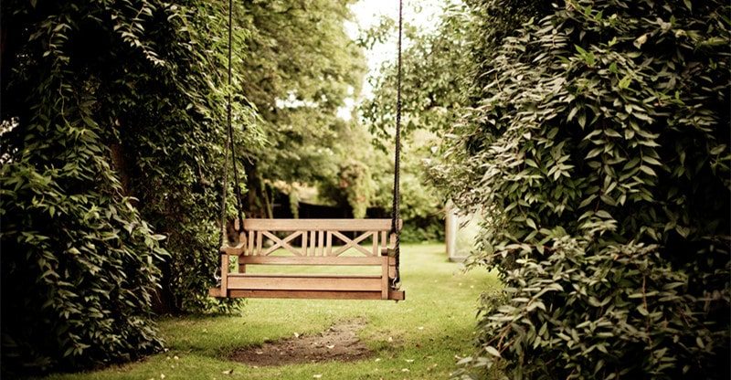 Suggestions For Preserving Your Backyard In Good Form