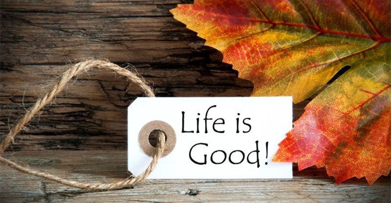 How you can Reside Your Finest Life