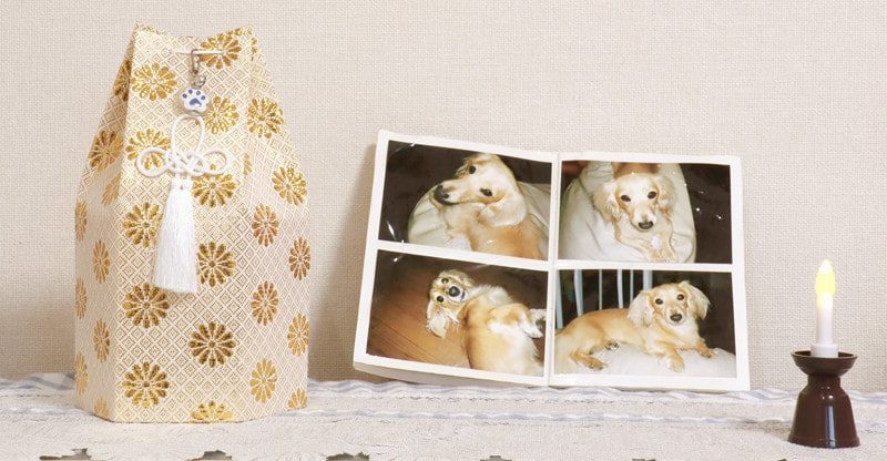 Shedding a Furry Pal: 5 Methods to Keep in mind Them