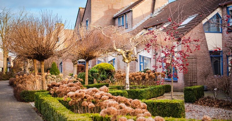 Find out how to Make Your Entrance Backyard Look Nice