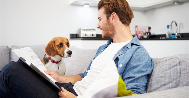 Pet Insurance coverage 101: All the pieces You Have to Know!