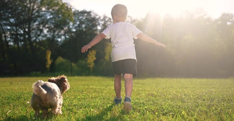 Why Pets are Nice for Educating Kids about Accountability